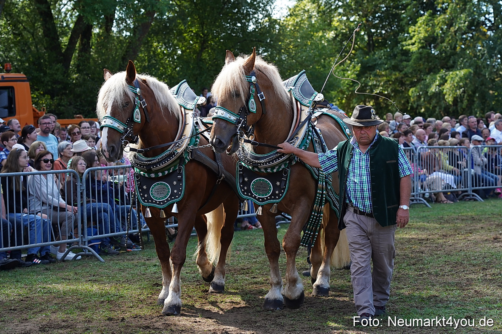 Pferde und Fohlenschau 2022 0189 